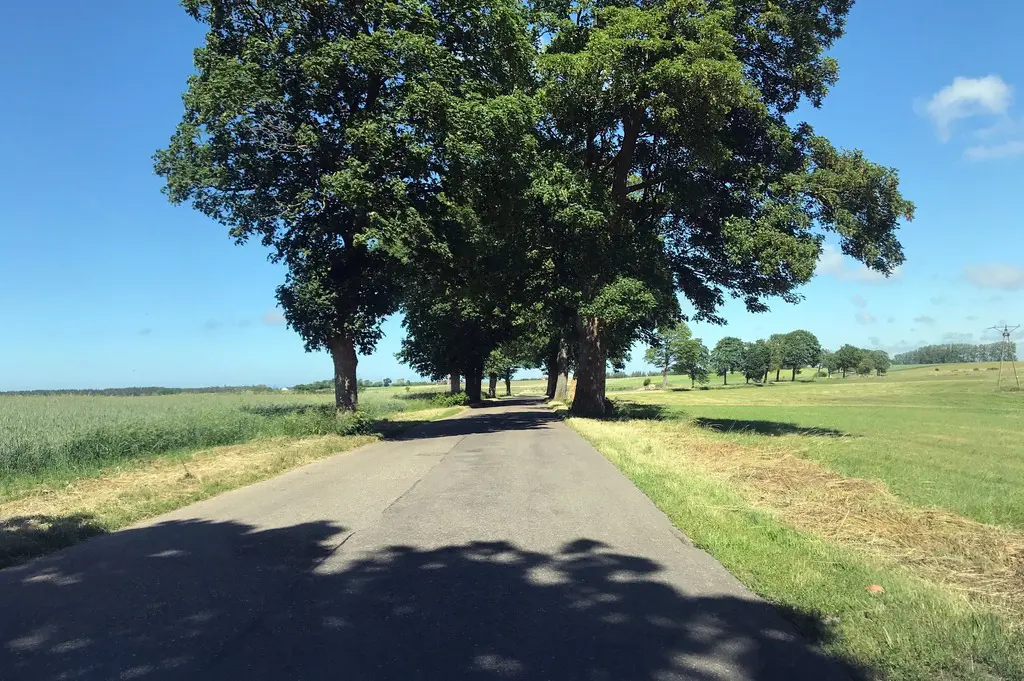 Działka na sprzedaż, 25600m2