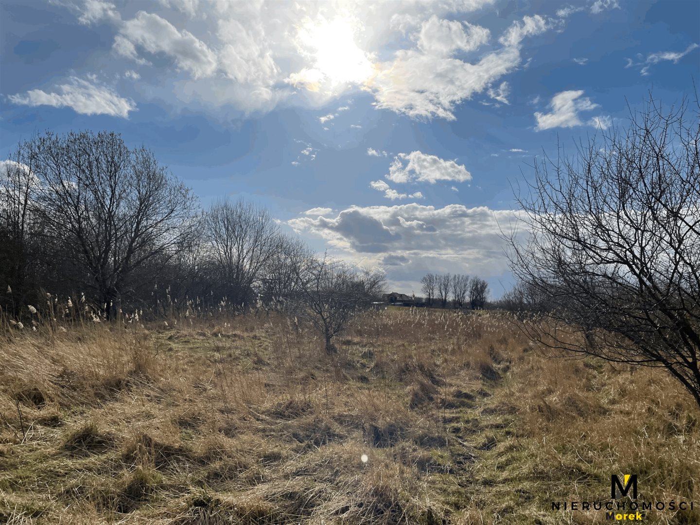 Działka rolna pod agroturystykę w Grzybowie