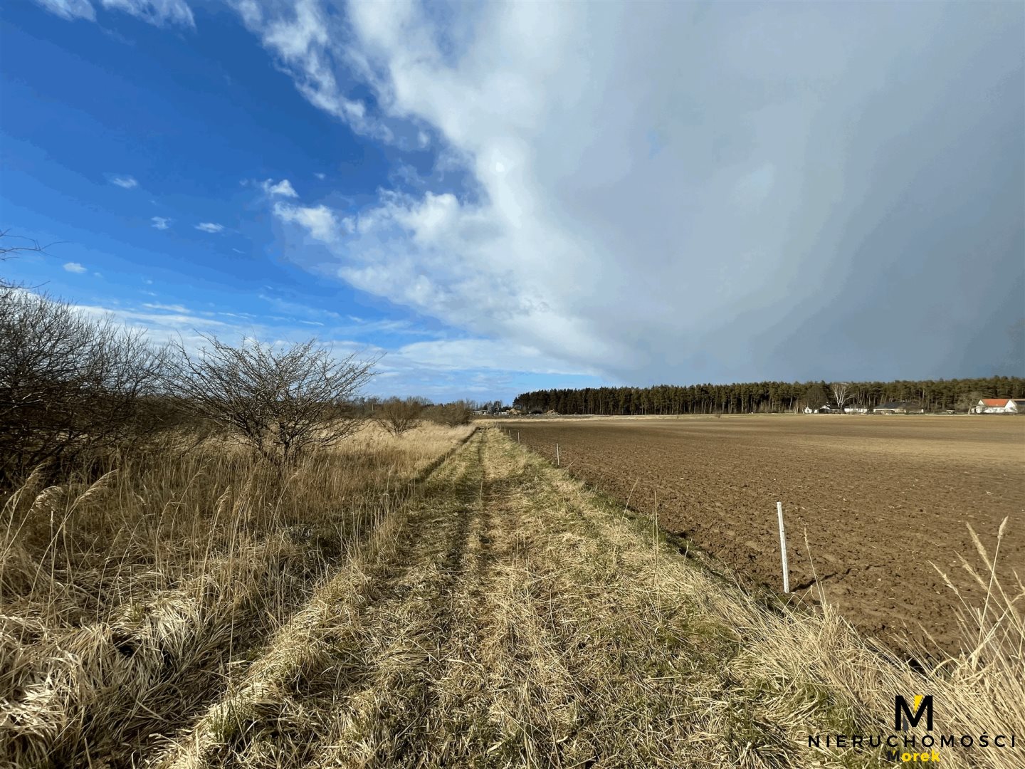 Działka rolna pod agroturystykę w Grzybowie