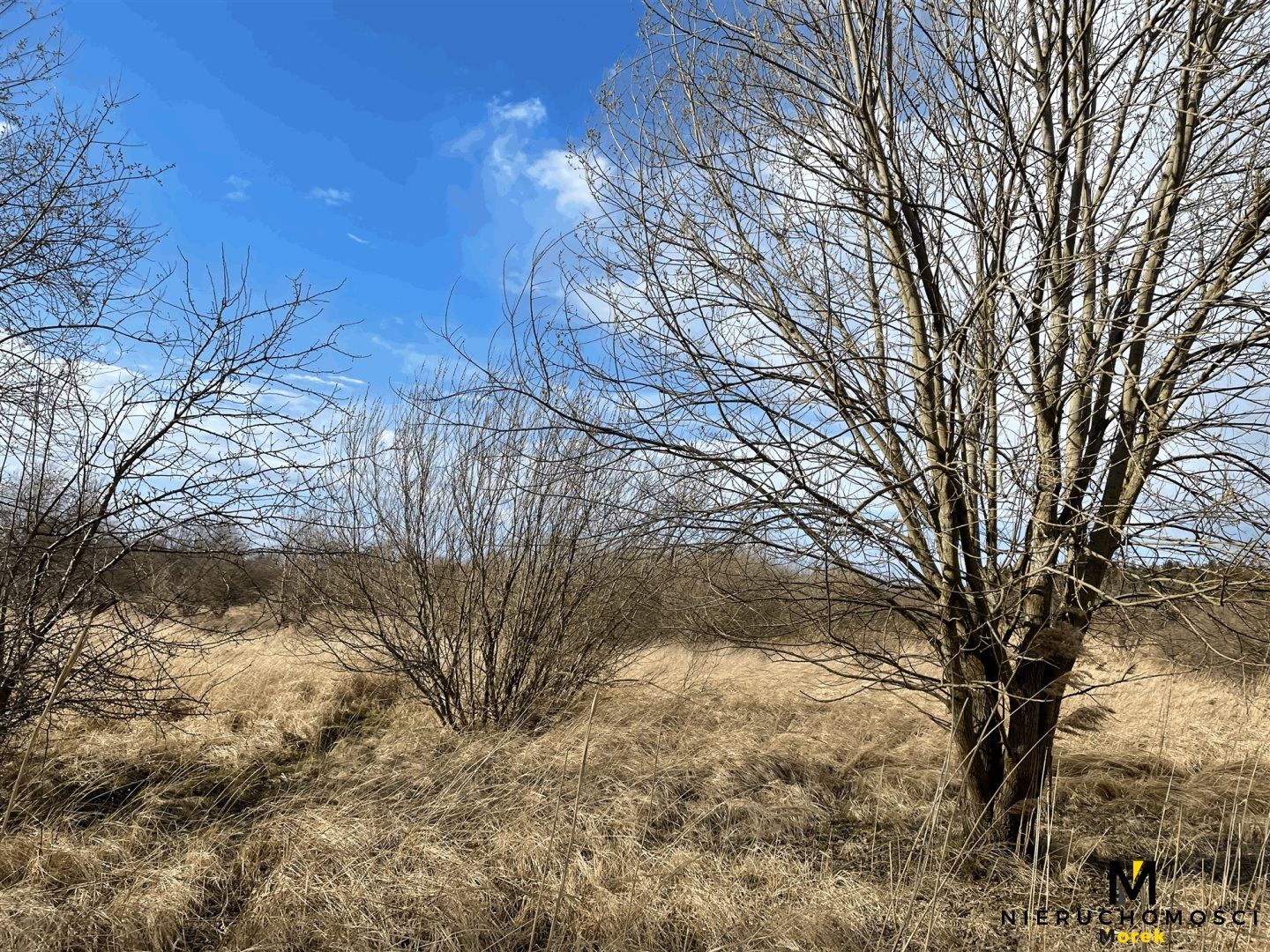 Działka rolna pod agroturystykę w Grzybowie