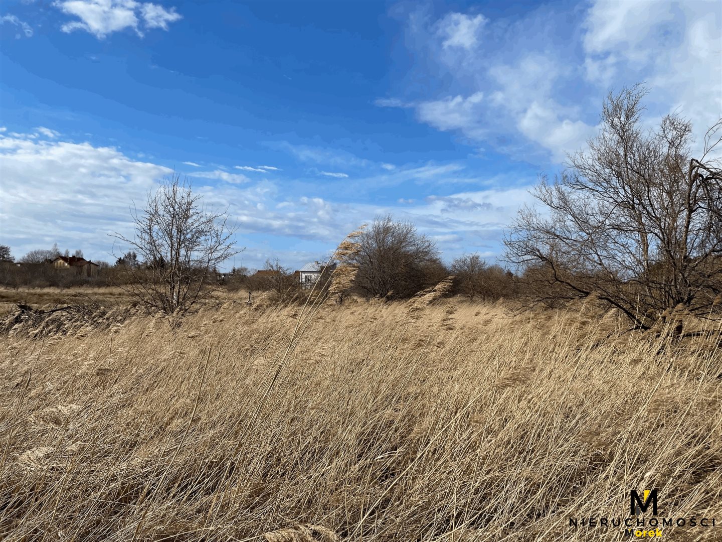 Działka rolna pod agroturystykę w Grzybowie