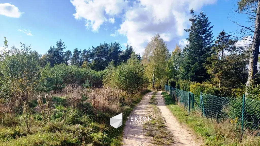 Działka rekreacyjna w otulinie lasu na Kaszubach.