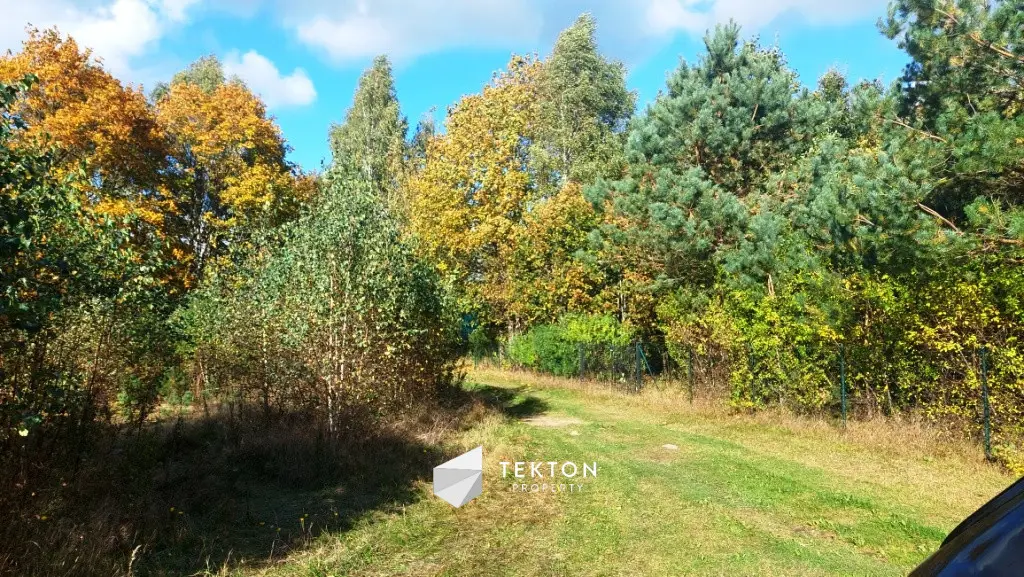 Działka rekreacyjna w otulinie lasu na Kaszubach.