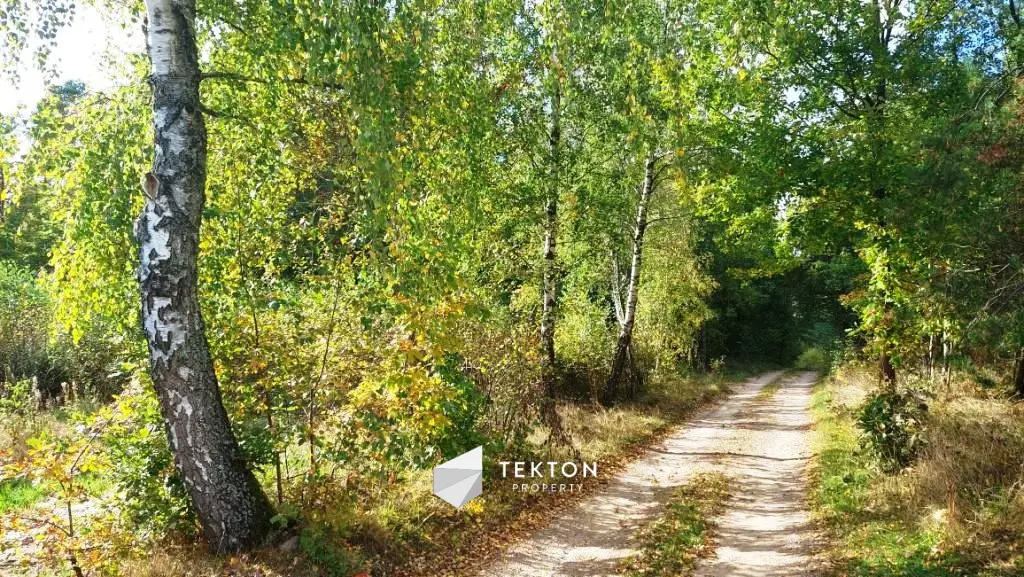 Działka rekreacyjna w otulinie lasu na Kaszubach.