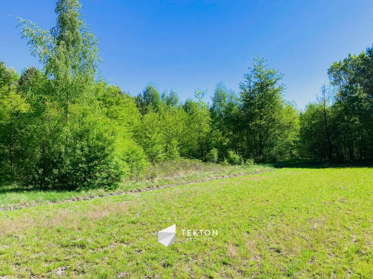 Działka Raducz, pow. skierniewicki, z potencjałem