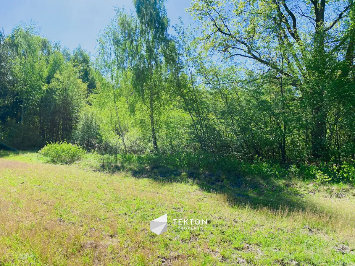 Działka Raducz, pow. skierniewicki, z potencjałem