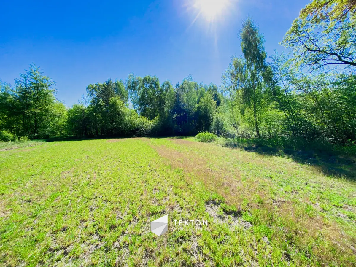 Działka Raducz, pow. skierniewicki, z potencjałem