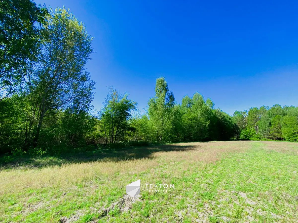 Działka Raducz, pow. skierniewicki, z potencjałem