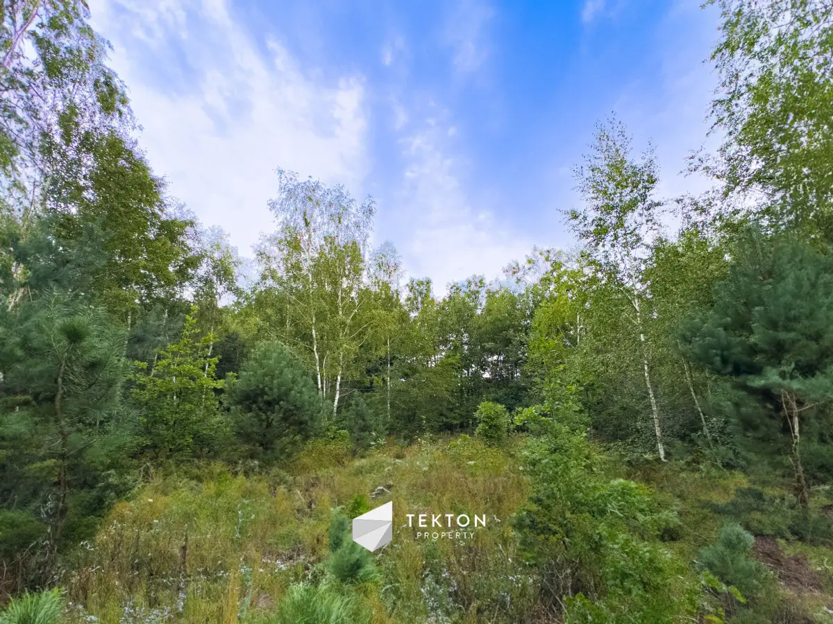 Janinów 2 970 m2 na dwa domy 2,8 ha dz rolnej