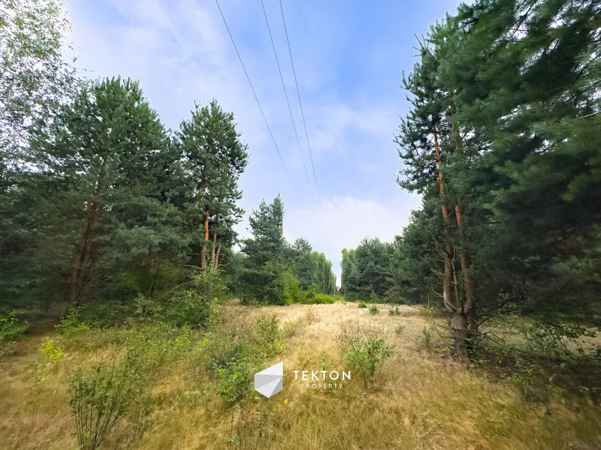 Janinów 2 970 m2 na dwa domy 2,8 ha dz rolnej