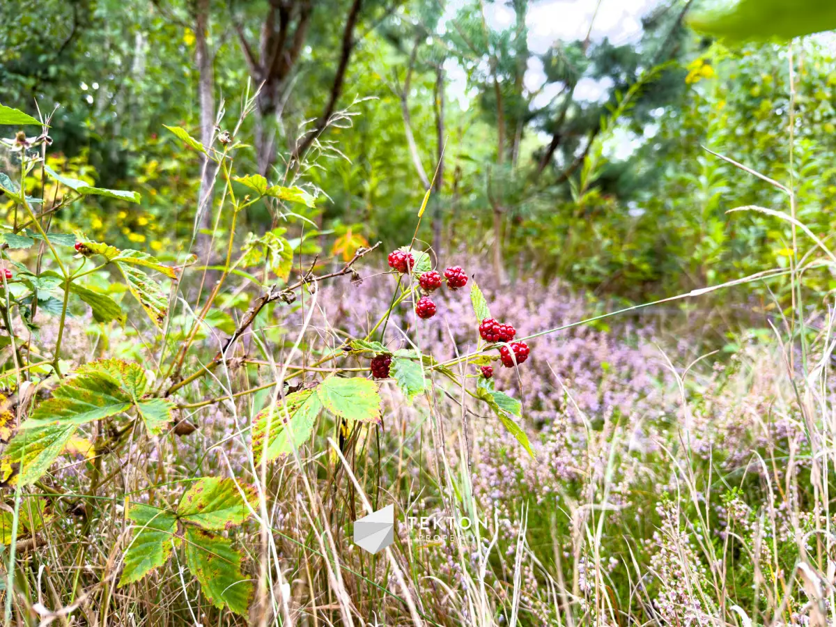 Janinów 2 970 m2 na dwa domy 2,8 ha dz rolnej