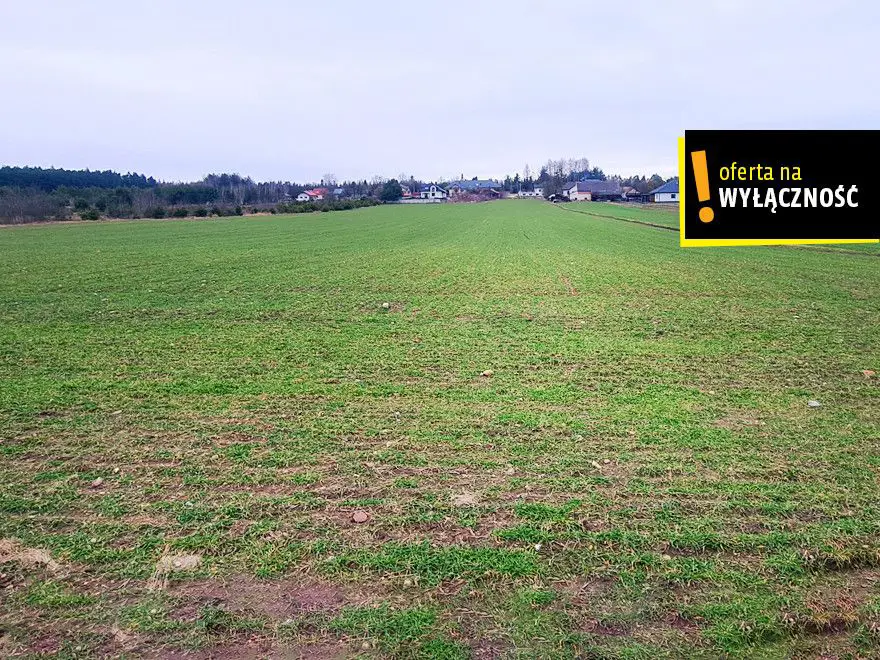 3 działki rolno-budowlane 2,1ha - Korczyn