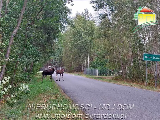 Polecamy działkę w Staruch Budach :)