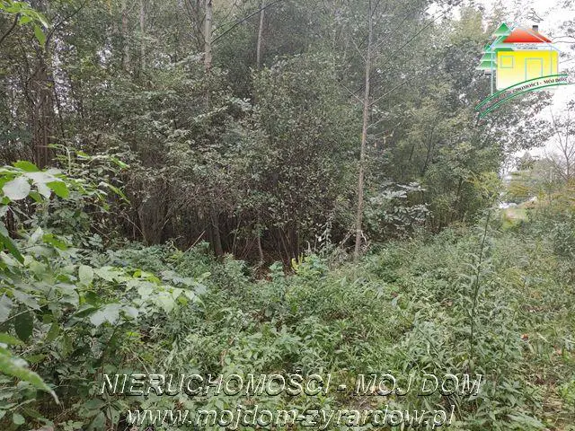 Polecamy działkę w Staruch Budach :)