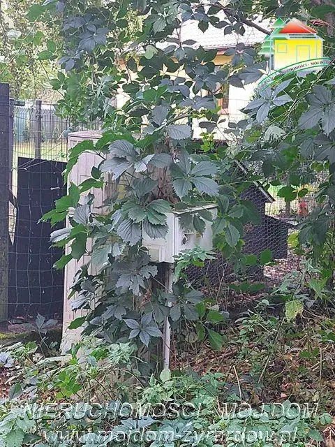 Polecamy działkę w Staruch Budach :)