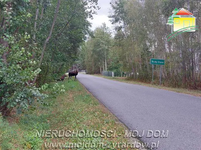 Polecamy działkę w Staruch Budach :)