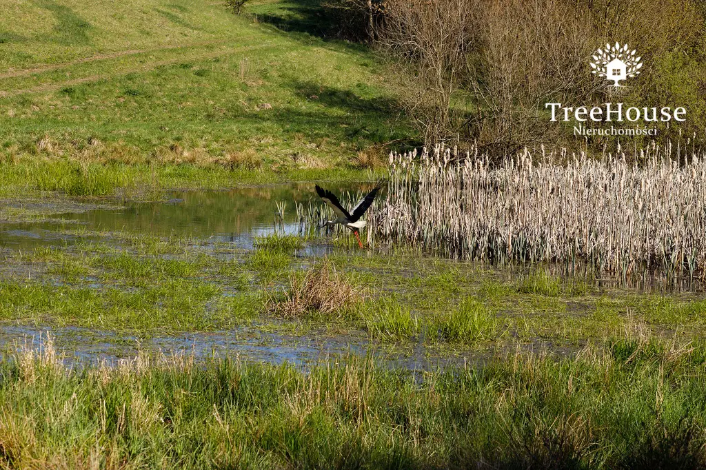 Malownicza działka w Glaznotach
