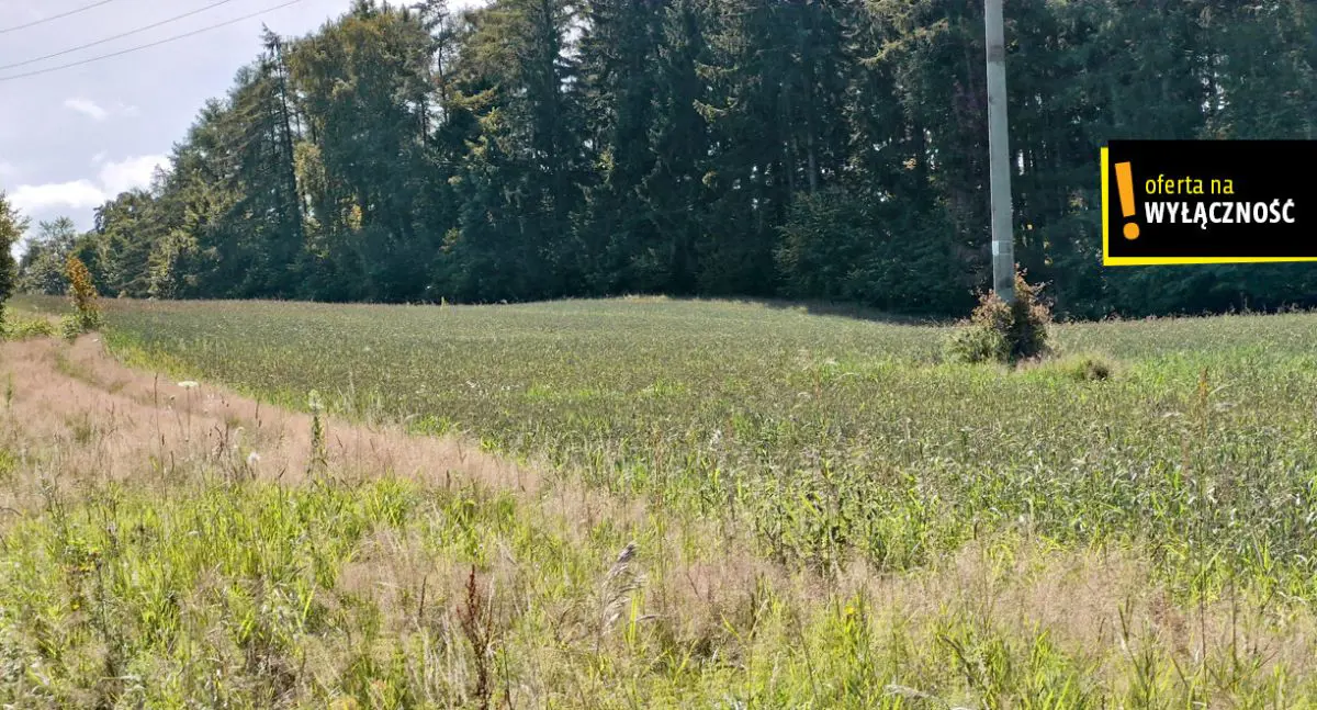 DZIAŁKI POD AGROTURYSTÓW NA WYSOCZYŹNIE ELBLĄSKIEJ