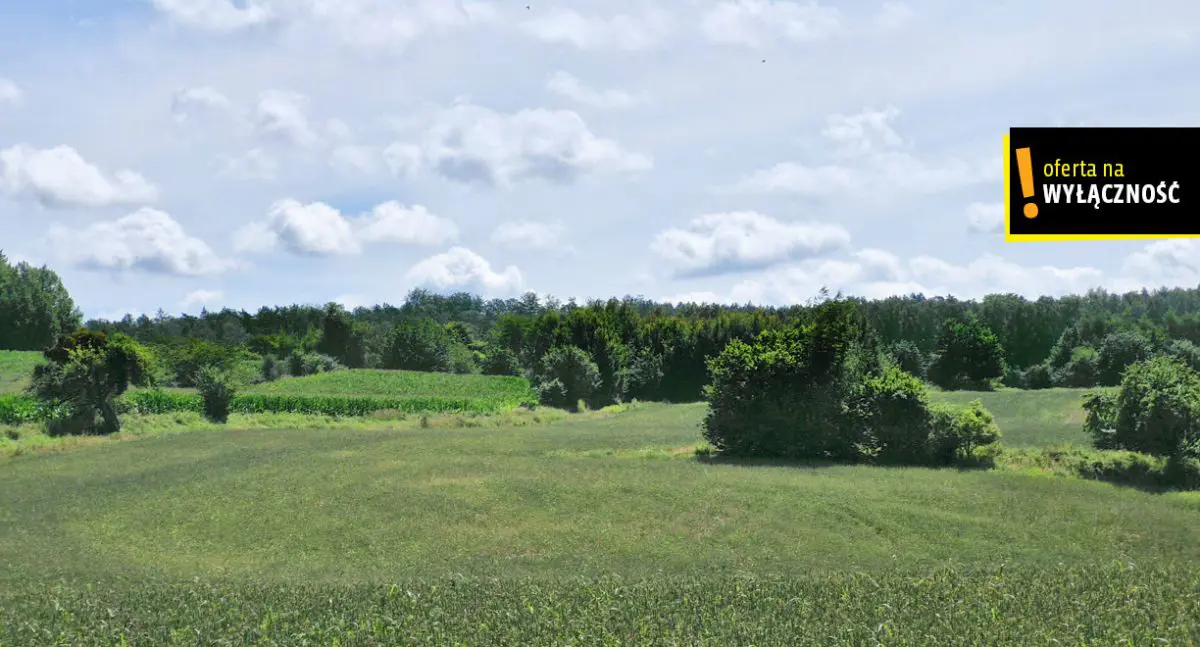 DZIAŁKI POD AGROTURYSTÓW NA WYSOCZYŹNIE ELBLĄSKIEJ