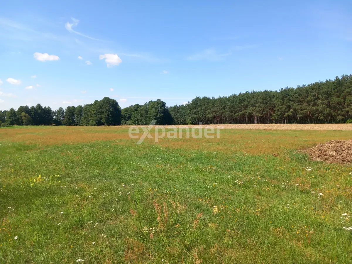 DZIAŁKA ROLNA Z MOŻL. WZ O POW. 4000 M2 BLINNO