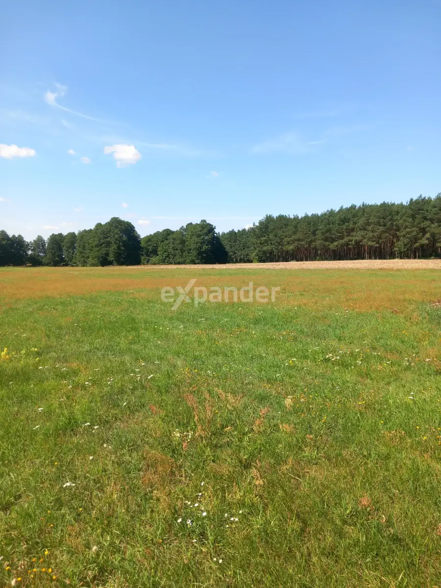 DZIAŁKA ROLNA Z MOŻL. WZ O POW. 4000 M2 BLINNO