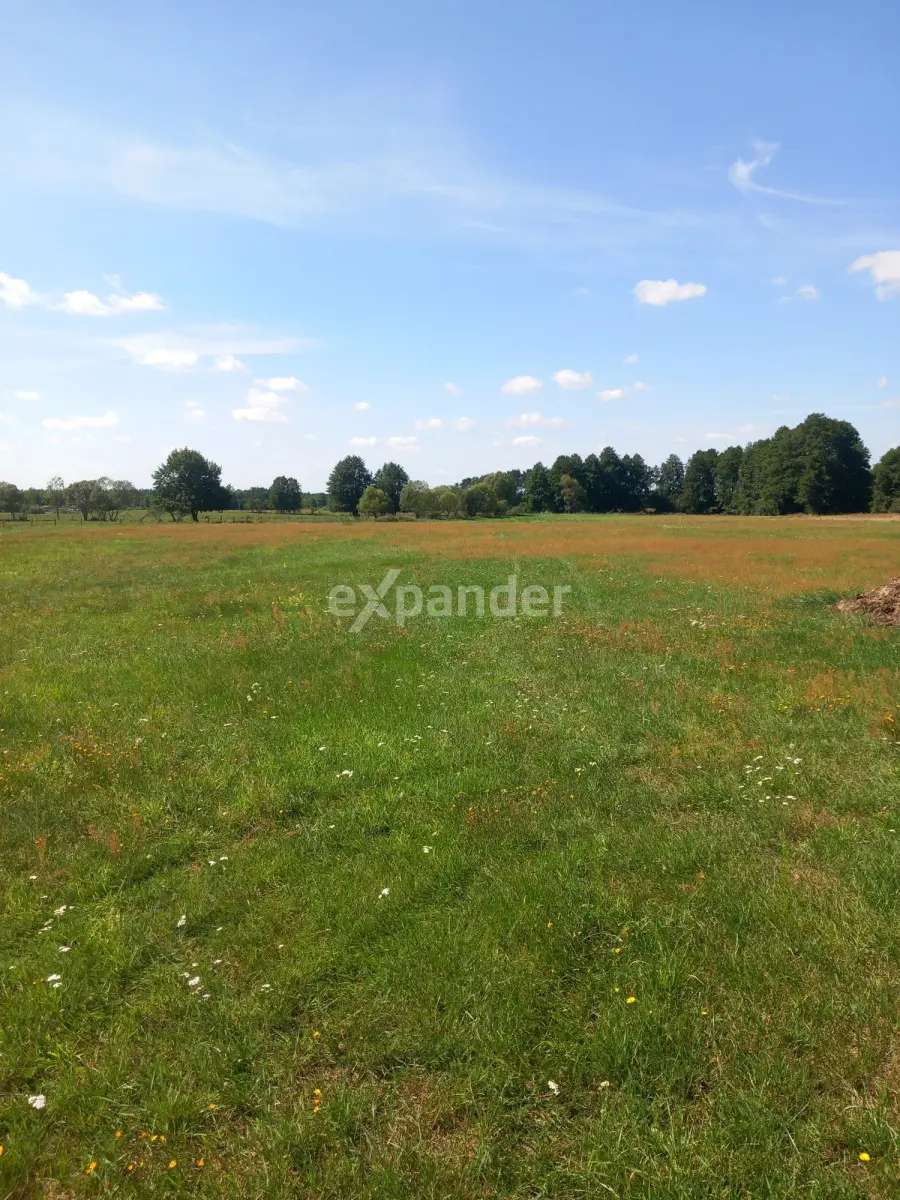 DZIAŁKA ROLNA Z MOŻL. WZ O POW. 4000 M2 BLINNO