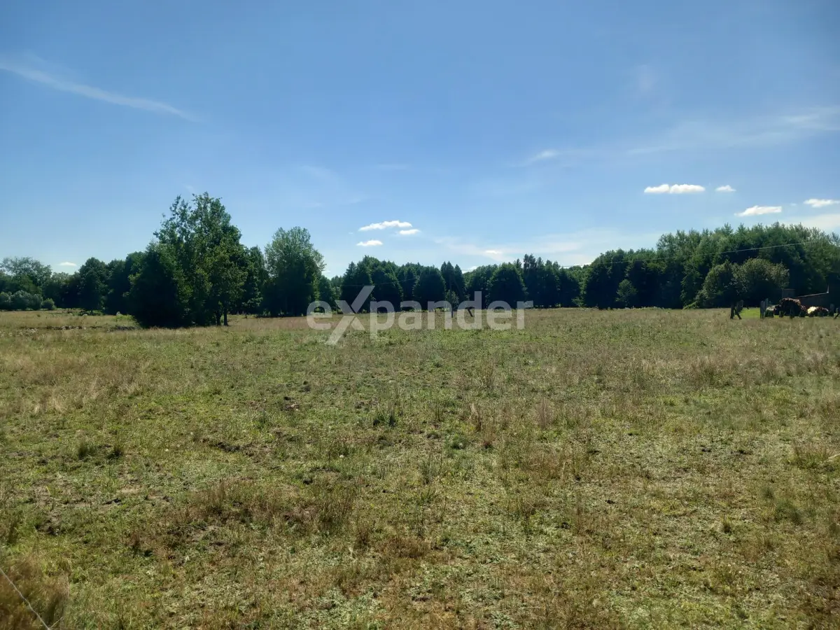 JÓZEFOWO 7,37 HA DZIAŁKA ROLNA BLISKO LASU