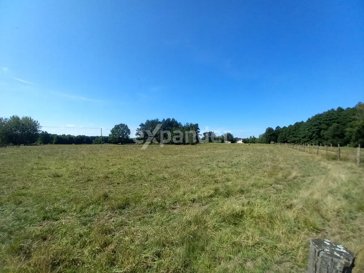 JÓZEFOWO 7,37 HA DZIAŁKA ROLNA BLISKO LASU