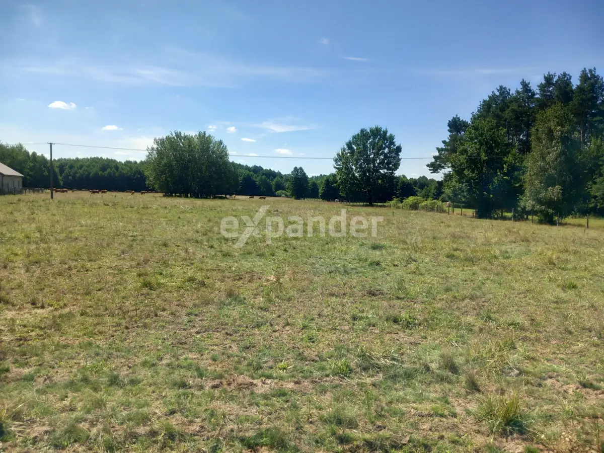 JÓZEFOWO 7,37 HA DZIAŁKA ROLNA BLISKO LASU