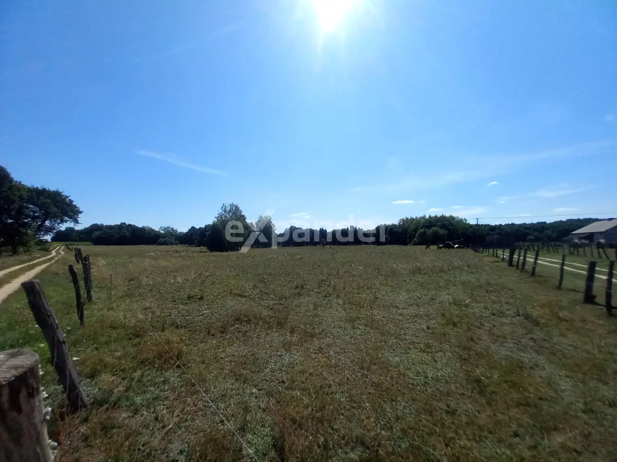 JÓZEFOWO 7,37 HA DZIAŁKA ROLNA BLISKO LASU