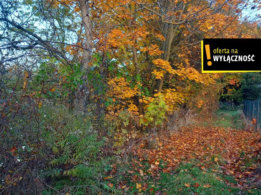 Dom z bala drewnianego na wsi Malkowice