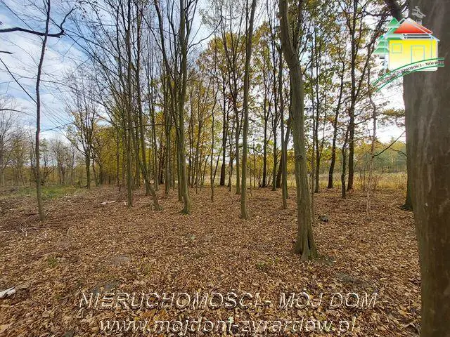 Kształtna działka w Benenardzie