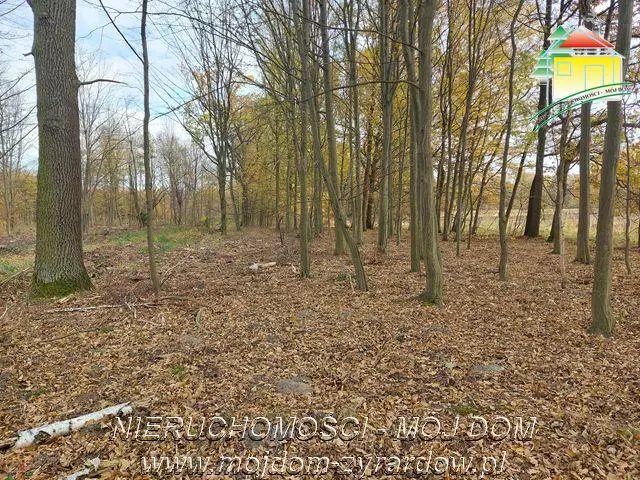 Kształtna działka w Benenardzie