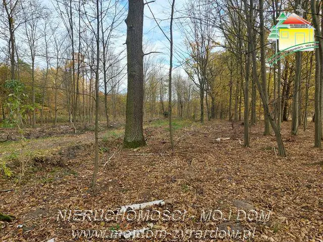 Kształtna działka w Benenardzie