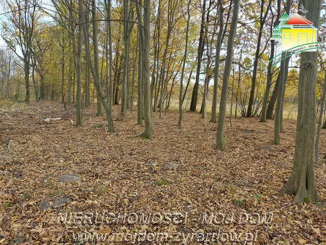 Kształtna działka w Benenardzie