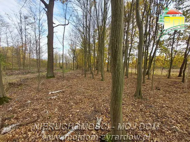 Kształtna działka w Benenardzie