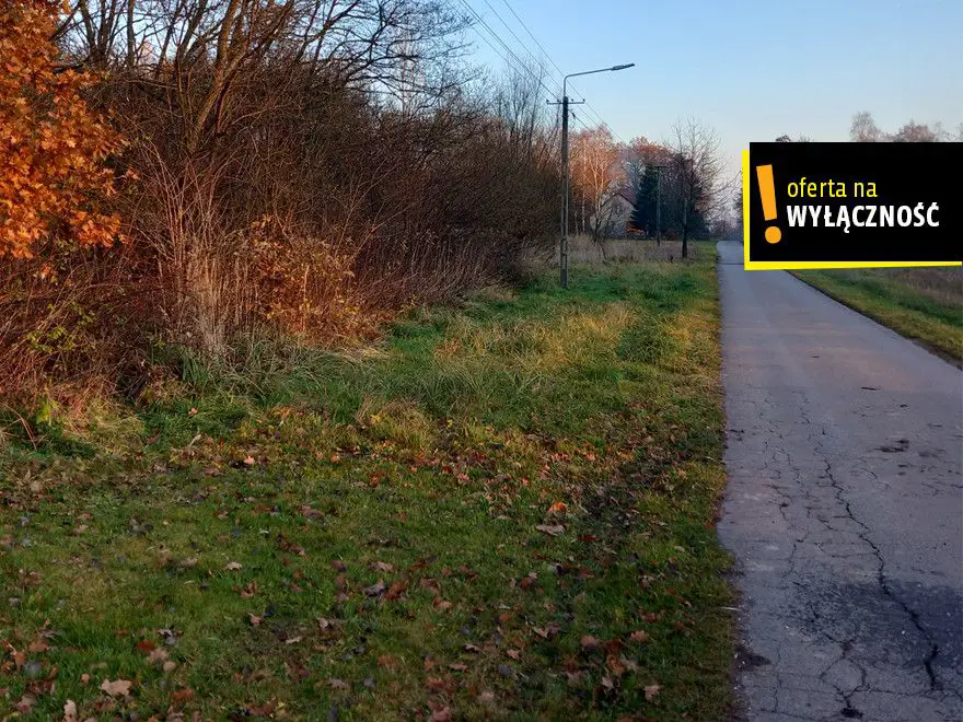 Działka 42 ary w Baranowie koło Buska