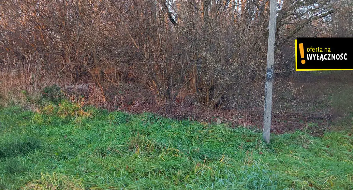 Działka 42 ary w Baranowie koło Buska