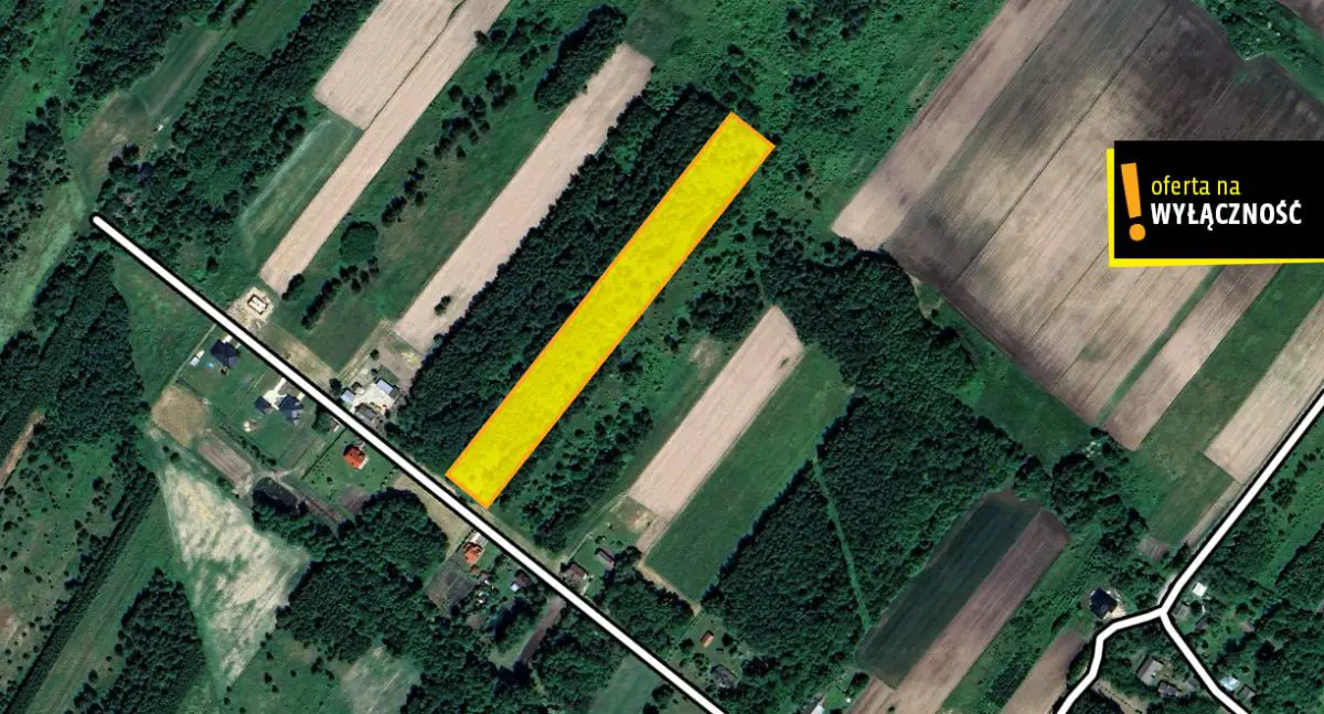 Działka 42 ary w Baranowie koło Buska