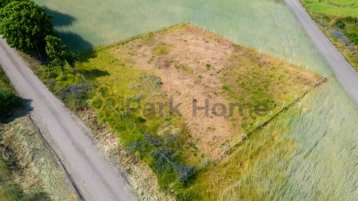 Działka budowlana 1000 m Brody Niższa cena