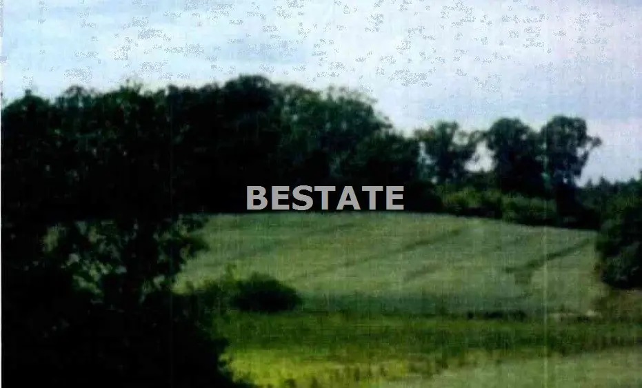 Działka rolna 5,43 ha w gminie Oborniki Śląskie