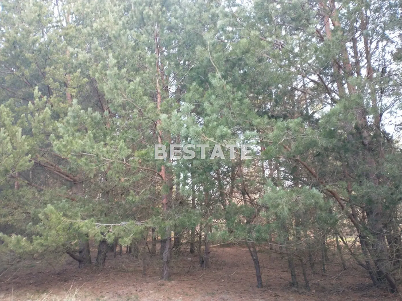 Atrakcyjna działka pod Obornikami śl.