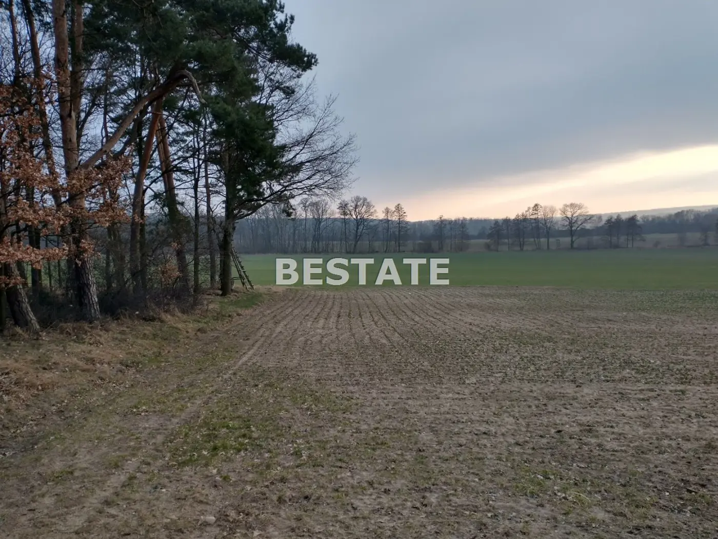 Atrakcyjna działka pod Obornikami śl.