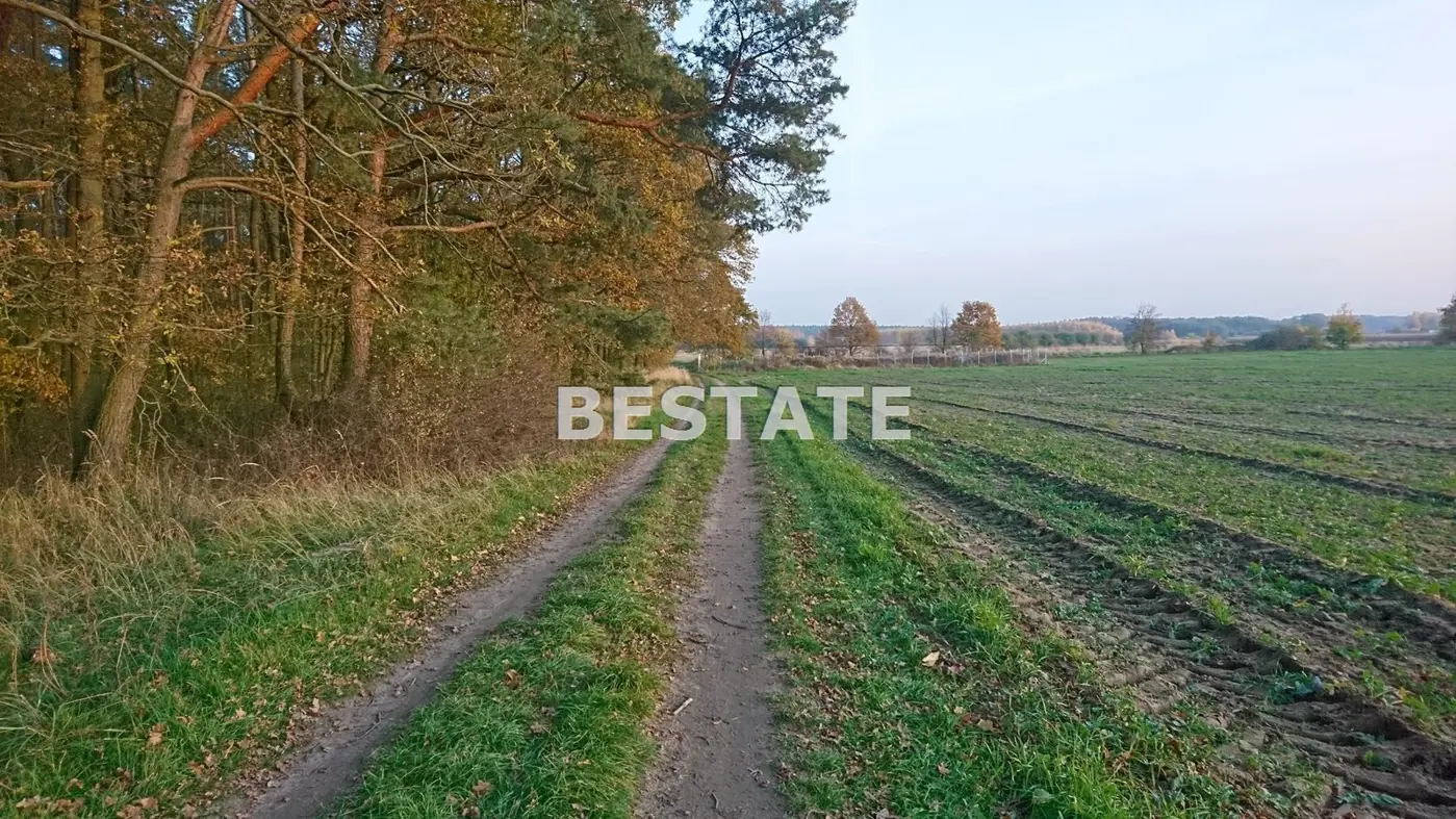 Duża działka pod lasem w Pęgowie