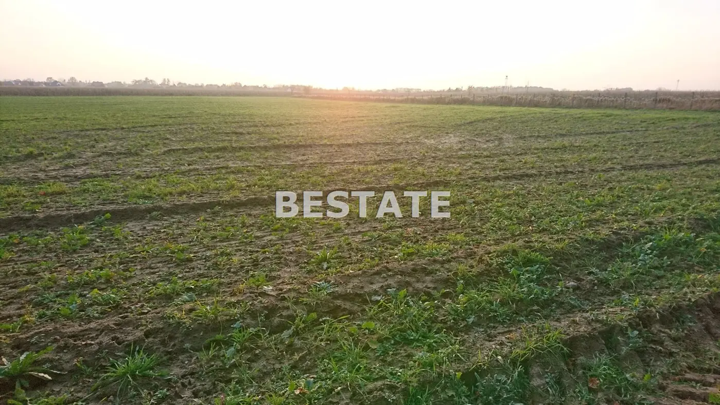 Duża działka pod lasem w Pęgowie