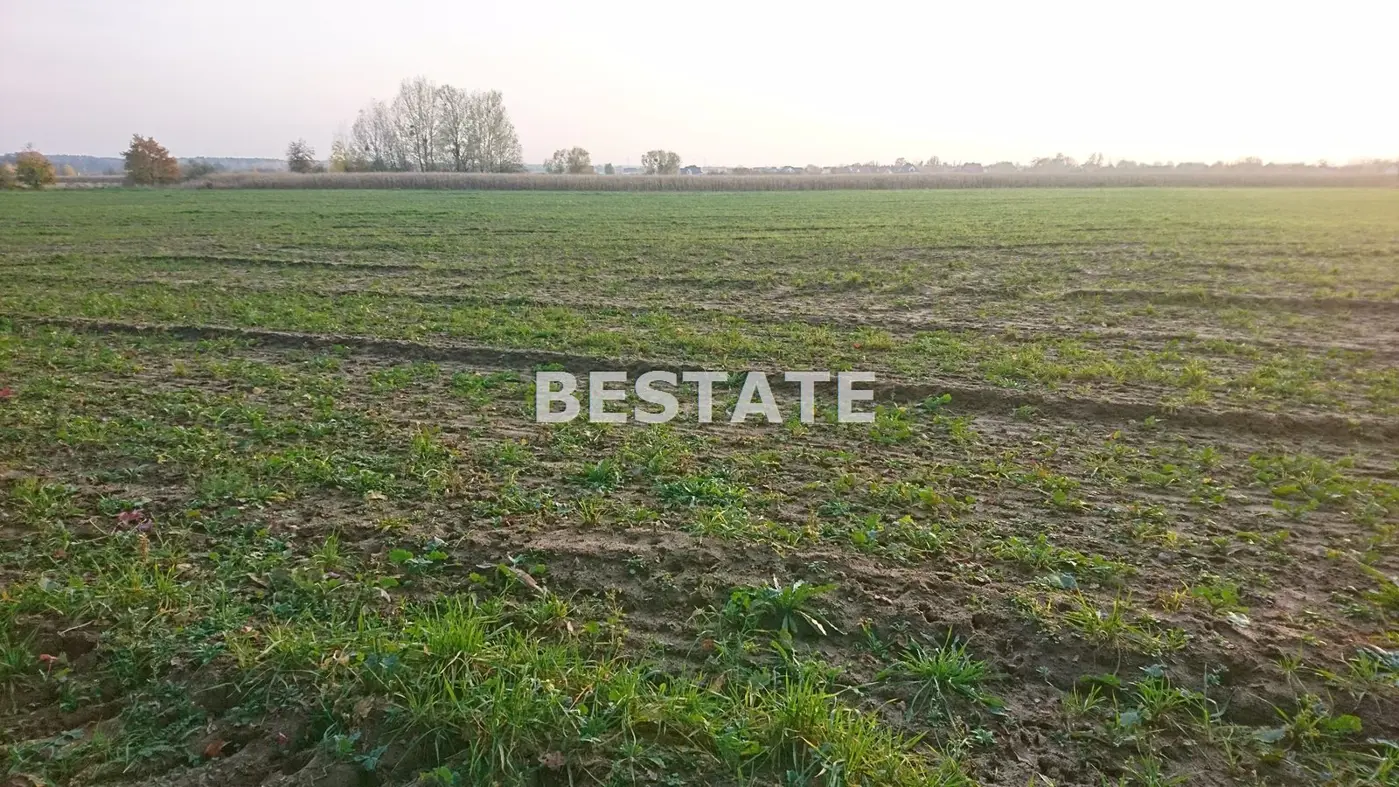 Duża działka pod lasem w Pęgowie