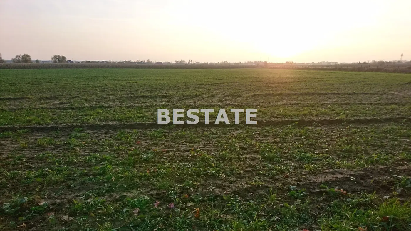 Duża działka pod lasem w Pęgowie