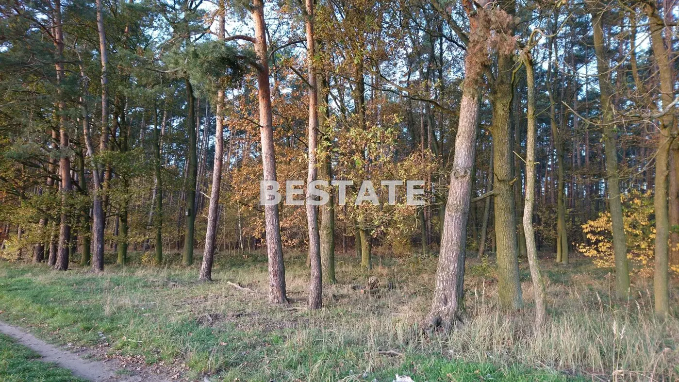 Duża działka pod lasem w Pęgowie