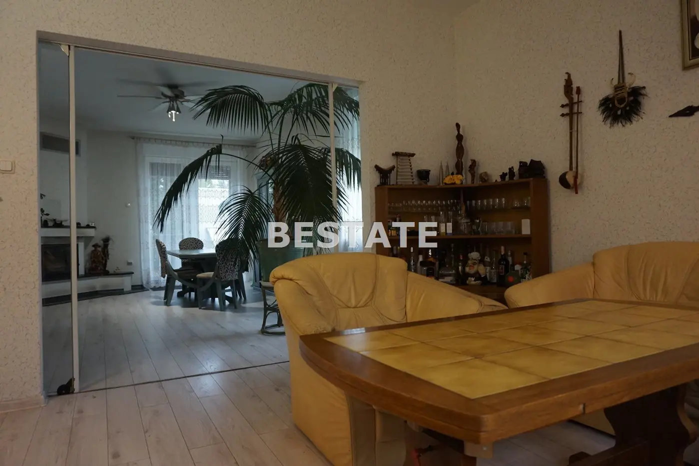 Dom mieszkalny, budynki pod działalność