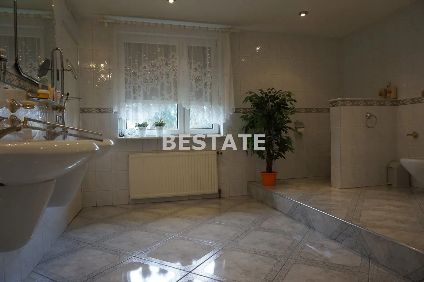 Dom mieszkalny, budynki pod działalność